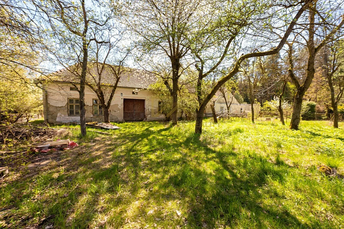 Fotka 6 z 12